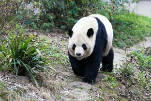 赵睿总结世界杯之旅：我们还是能力不行 得多练